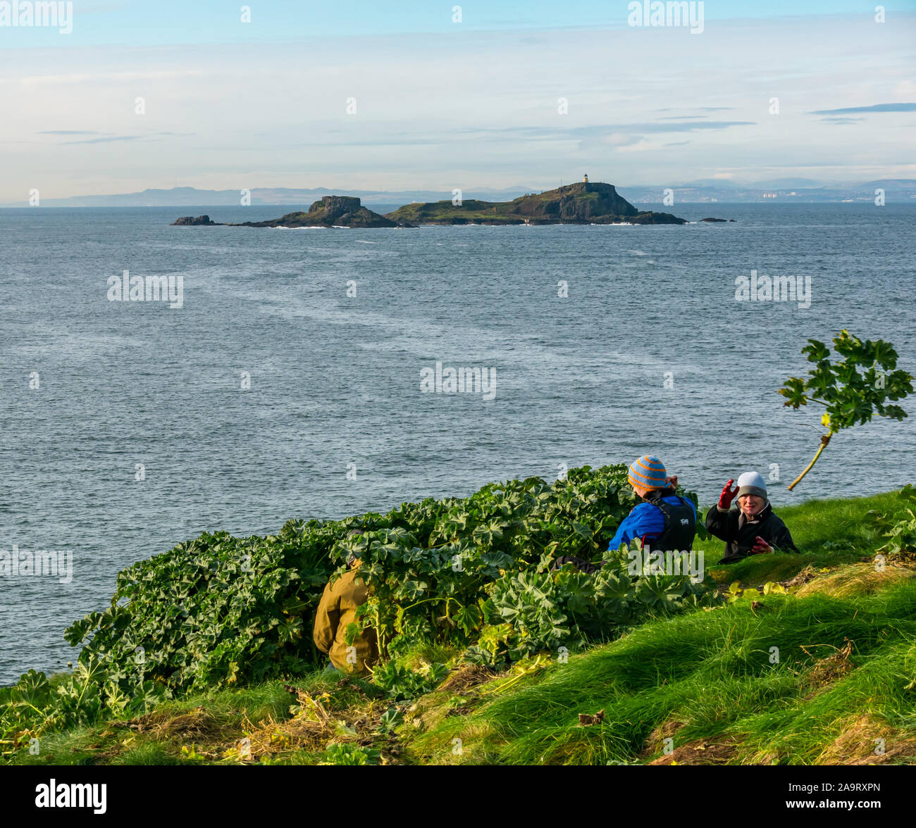 Lamb Island, Firth of Forth, Scozia, Regno Unito. 17 Nov 2019. Gita in kayak sul mare di Lothian all'Isola di Lamb. Il club di kayak di mare fa un viaggio durante l'inverno ogni anno per ‘mpermettere bash' di sbarazzarsi l'isola di mallow albero. L'isola è difficile da atterrare in barca ma accessibile in kayak. La maggior parte dell'isola è liberata dalla malva degli alberi invasivi Foto Stock