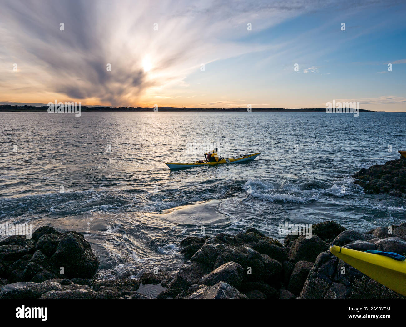 Lamb Island, Firth of Forth, Scozia, Regno Unito. 17 Nov 2019. Gita in kayak sul mare di Lothian all'Isola di Lamb. Il club di kayak di mare fa un viaggio durante l'inverno ogni anno per ‘mpermettere bash' di liberare l'isola di mallow albero che impedisce ai puffins di fare i burrows. L'isola è difficile da atterrare in barca ma accessibile in kayak, anche se l'inontridamento rende difficile tornare in kayak Foto Stock