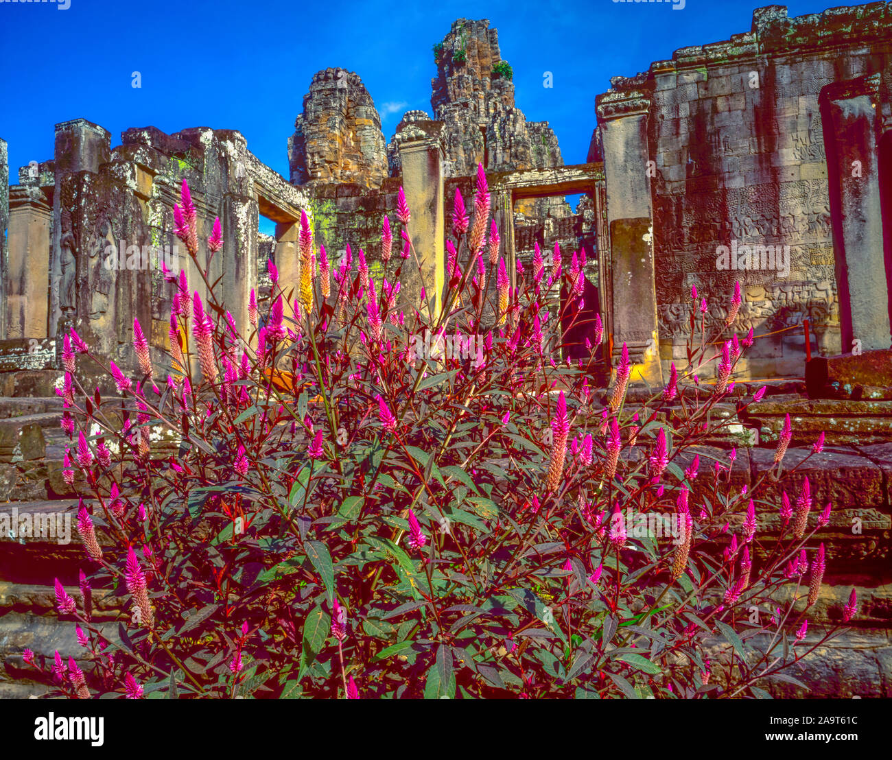 Tempio Bayon, Angkor Watt parco archeologico, Cambogia, città di Angkor Thom , costruito 1100-1200 annuncio la cultura Khmer rovine nel sud-est asiatico Foto Stock