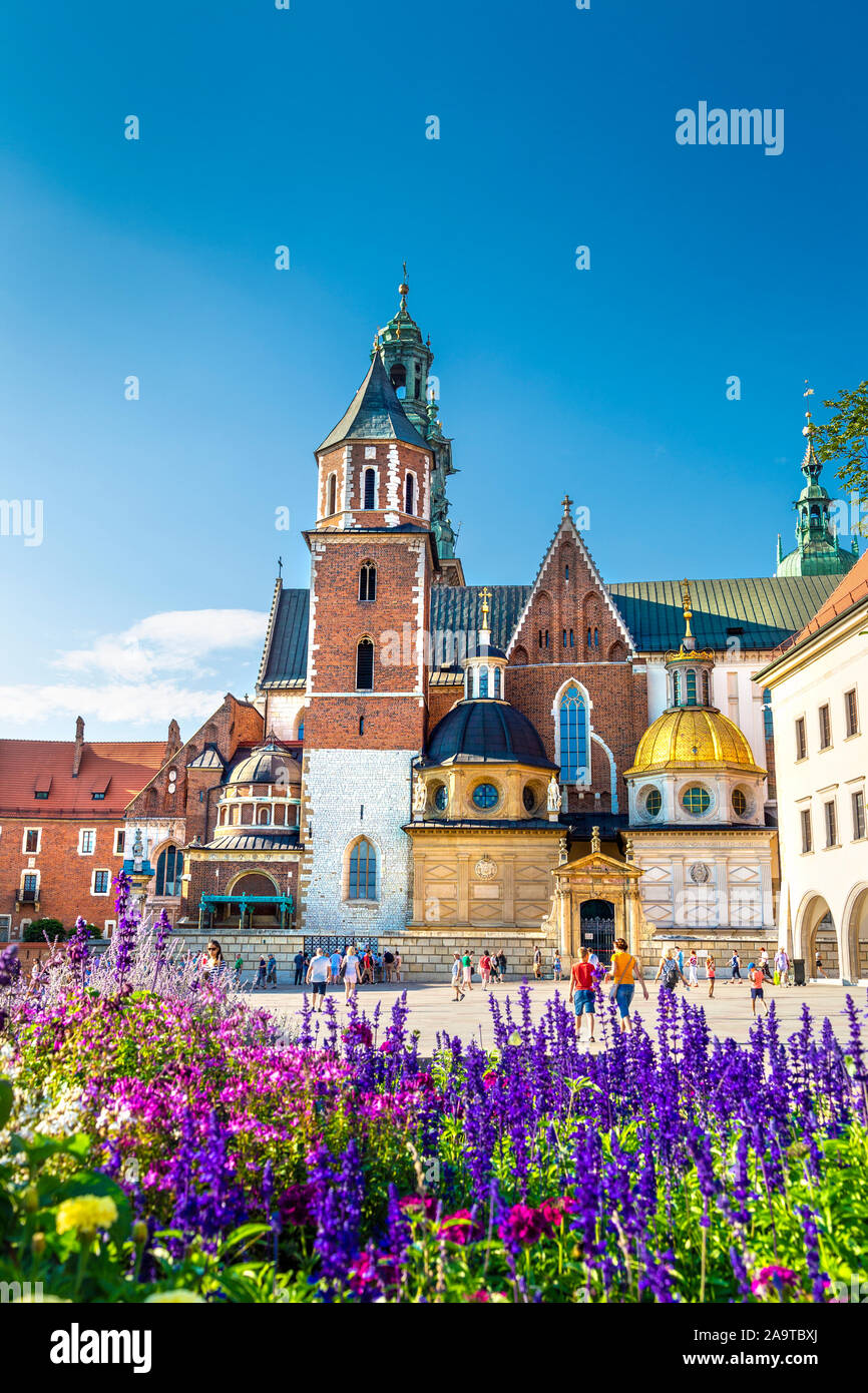 Esterno della cattedrale di Wawel sul colle di Wawel, Cracovia in Polonia Foto Stock