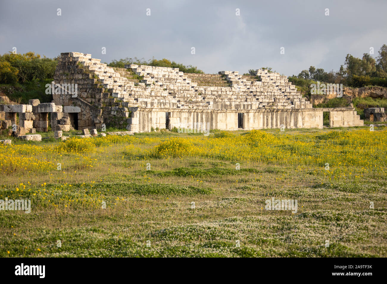 Ippodromo, Al Bass sito archeologico, pneumatico, Libano Foto Stock