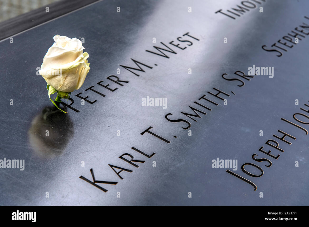 Rosa Bianca a sinistra su una delle piscine del National September 11 Memorial & Museum, Manhattan, New York, Stati Uniti d'America Foto Stock Rosa Bianca a sinistra su una delle piscine del National September 11 Memorial & Museum, Manhattan, New York, Stati Uniti d'America Foto Stock