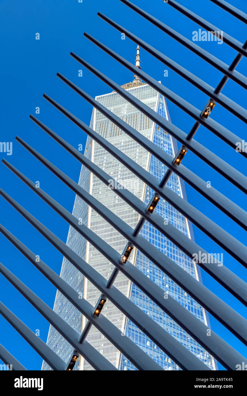 Nervature di occhio station house progettata dall'architetto Santiago Calatrava con One World Trade Center dietro, World Trade Center station (percorso), Manhattan Foto Stock