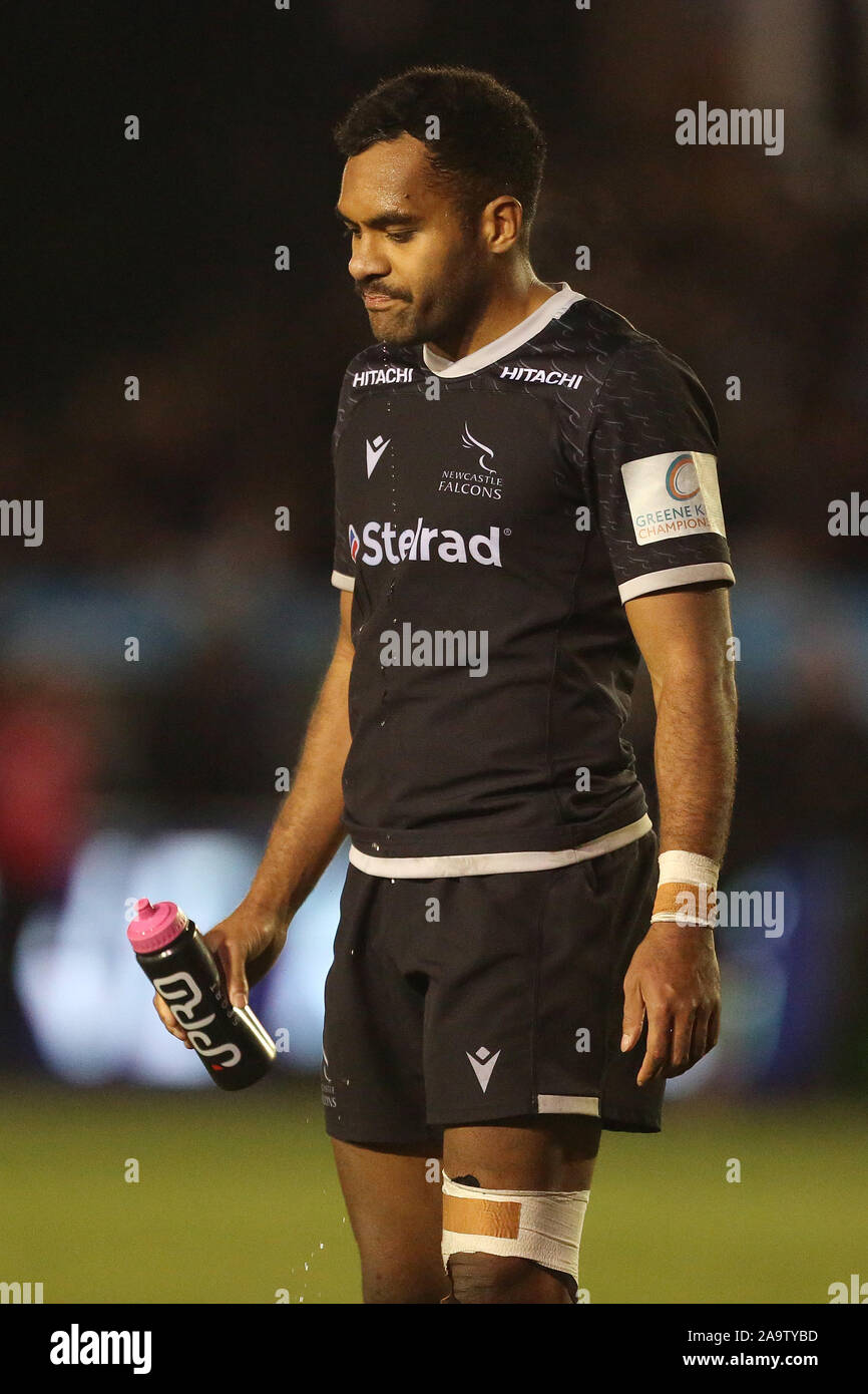 NEWCASTLE UPON TYNE, Inghilterra - Novembre 17th durante la Greene King IPA partita in campionato tra Newcastle Falcons e Coventry a Kingston Park, Newcastle domenica 17 novembre 2019. (Credit: Mark Fletcher | MI News) Credito: MI News & Sport /Alamy Live News Foto Stock