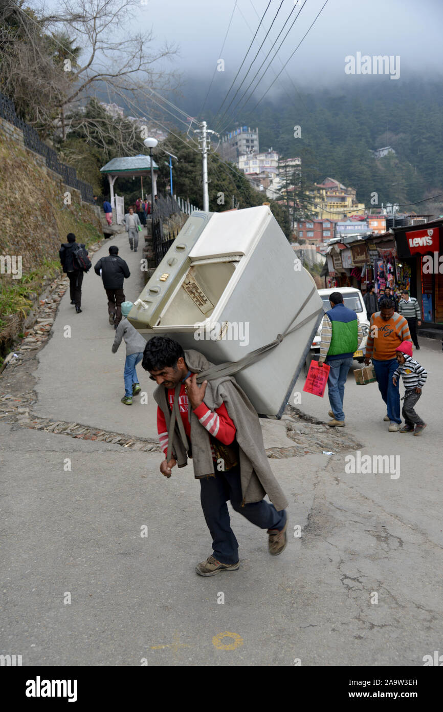 Strade di Shimla. Le persone che vivono nelle colline trasportare enormi carichi sulle loro spalle e coprire grandi distanze con carichi pesanti. Shimla è la capitale dello stato indiano di Himachal Pradesh, situato in India del nord, ad un'altitudine di 7.200 m. A causa della sua meteo e visualizzare attira molti turisti. È anche l'ex capitale del British Raj. Foto Stock
