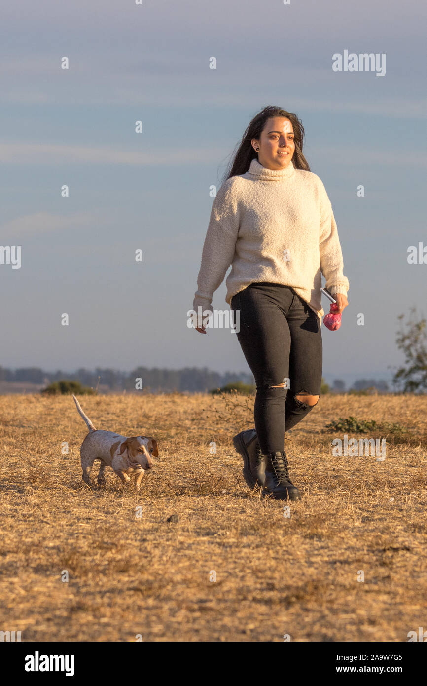 Petaluma, California, Stati Uniti d'America. 16 Novembre, 2019. "Chef", una molto energico bassotto, avente una grande giornata al parco del cane. Credito: Tim Fleming/Alamy Live Foto Stock