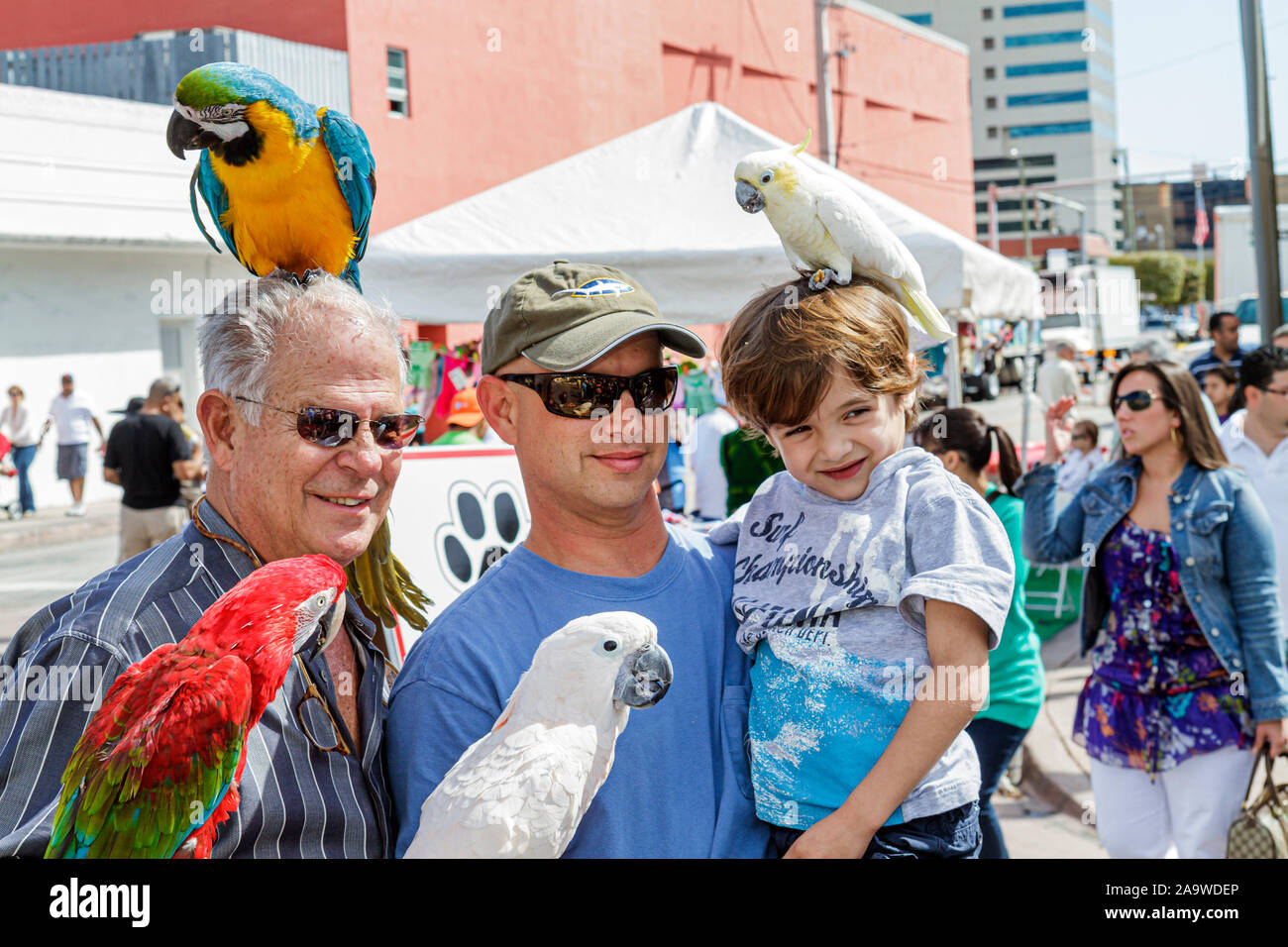 Miami Florida,Coral Gables,Carnaval on the Mile,minoranza immigranti etnici latini ispanici latini,festival,adulti uomini uomini maschi, ragazzi Foto Stock