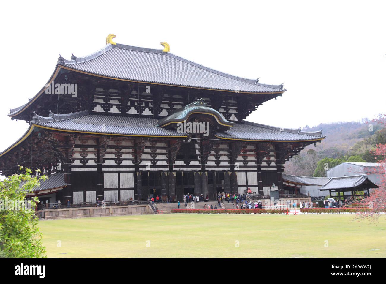Il Tempio Todaiji (grande tempio orientale), uno dei potenti sette grande tempio, Nara, Giappone. Patrimonio mondiale dell UNESCO Foto Stock