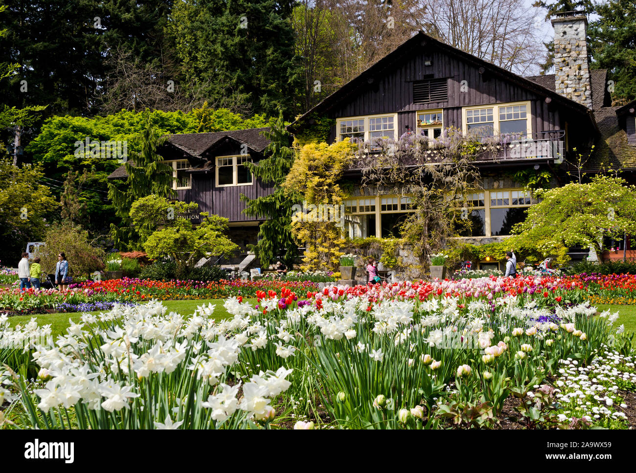 Fiori di Primavera a Stanley Park a Vancouver in Canada dal Pavillion. Foto Stock
