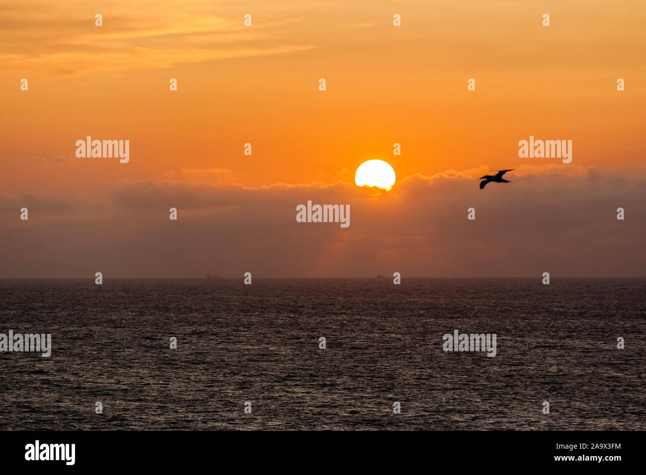 Sonnenuntergang, Insel Helgoland, Schleswig-Holstein Foto Stock