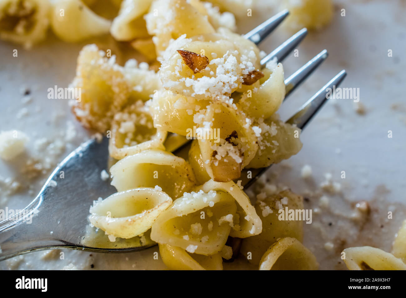 Macro Vista ravvicinata del guscio di pasta Conchiglie / Conchiglioni sulla forcella con parmigiano e noce. I cibi tradizionali. Foto Stock