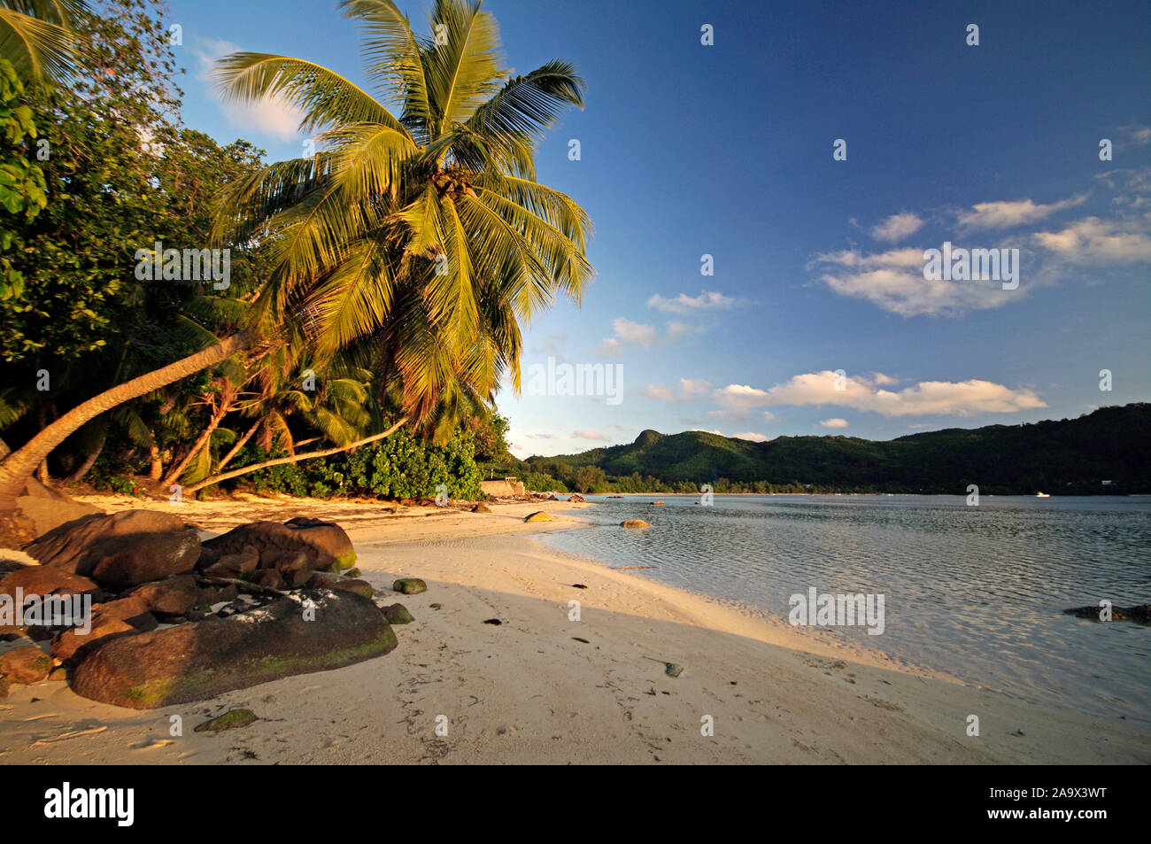 Sonnenuntergang am Sandstrand an der Anse a la Mouche mit Offenburg, Mahe, Seychellen Foto Stock