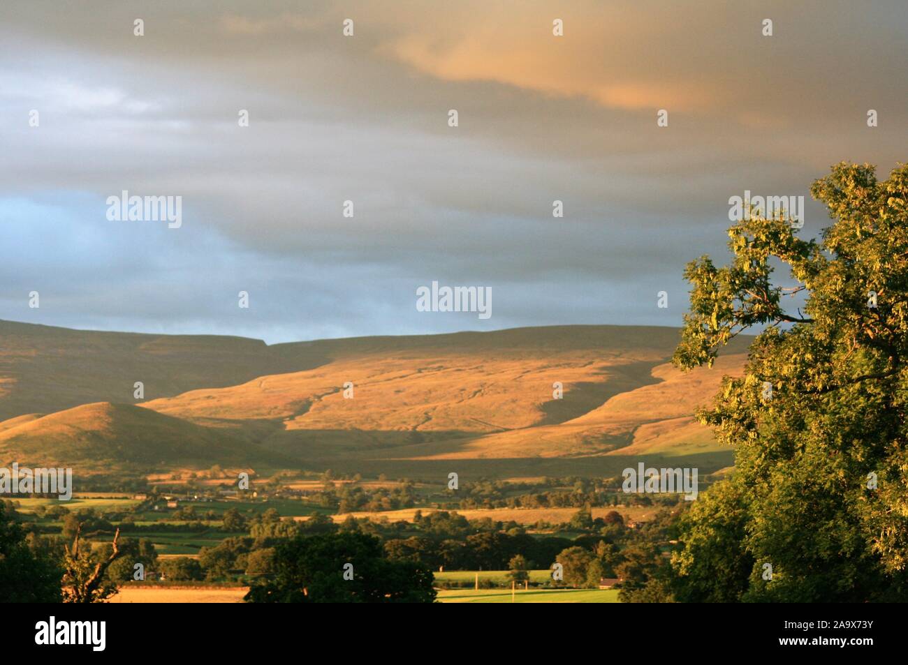 Sera d'estate. Eden Valley, Cumbria Foto Stock