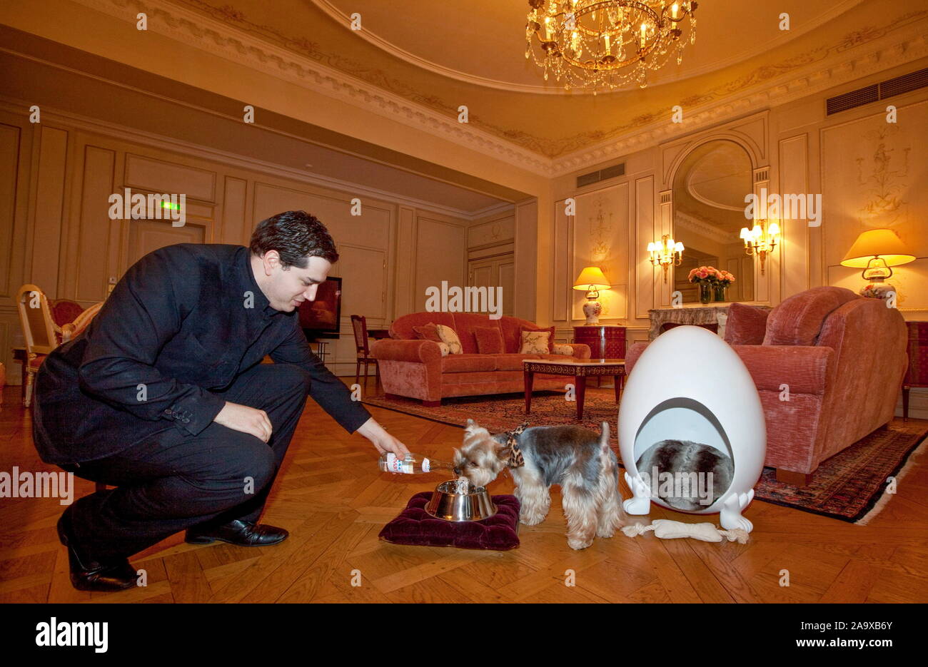 Prendersi cura del vostro cane al MEURICE HOTEL, PARIGI Foto Stock