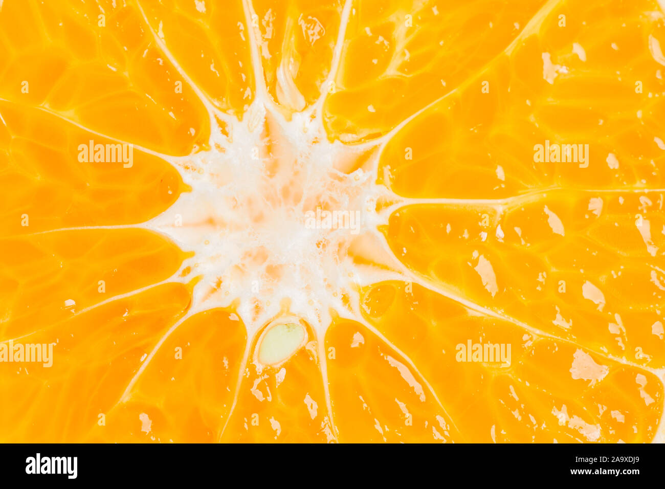 Frutta mandarino close up. Piatto sullo sfondo dei laici Foto Stock