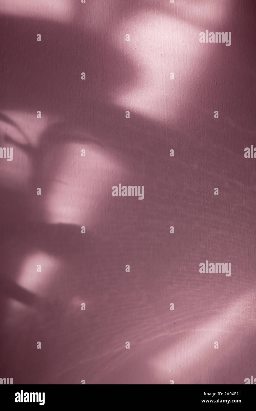 Primo piano di un bellissimo sfondo grigio con dello spazio per le copie shadow Foto Stock