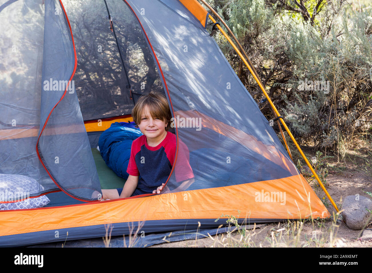 Ritratto di 6 anno vecchio ragazzo seduto in una tenda Foto Stock