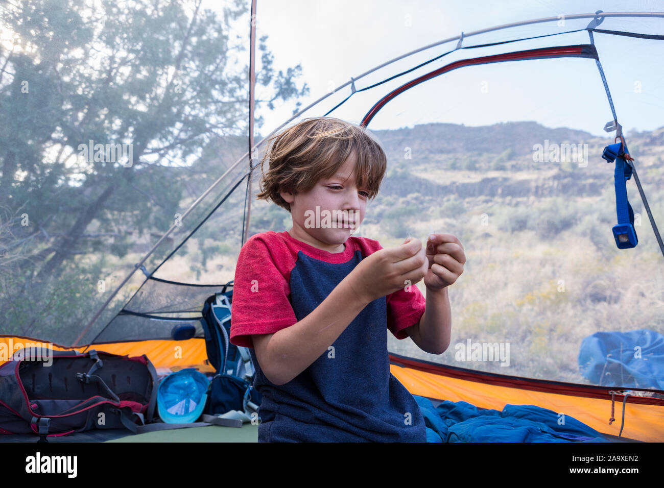 6 anno vecchio ragazzo giocando in tenda Foto Stock