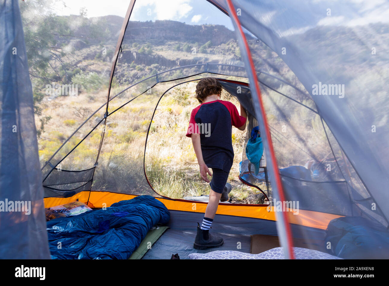 6 anno old boy esce tenda in Early Morning Light Foto Stock