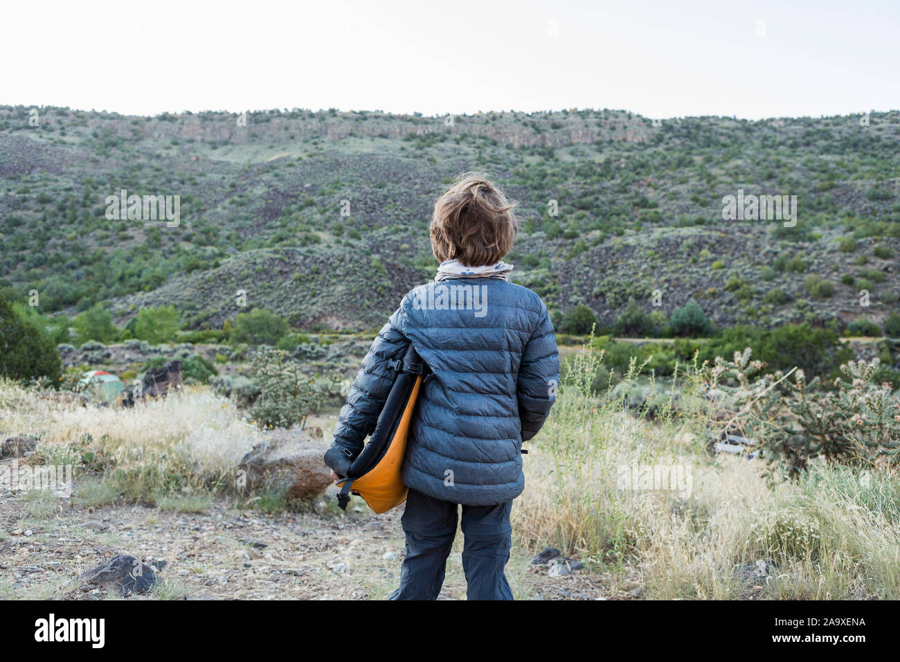 Vista posteriore di 6 anno vecchio ragazzo tenendo ripiegati camp poltrona guardando la parete del canyon Foto Stock
