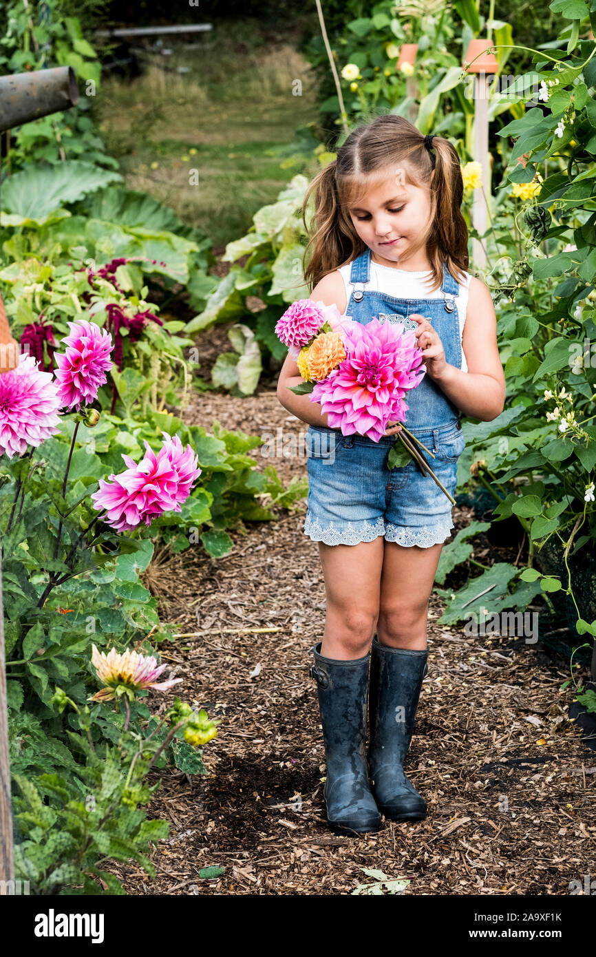 Ragazza che indossa jeans salopette da in piedi in un giardino, tenendo rosa dalie. Foto Stock