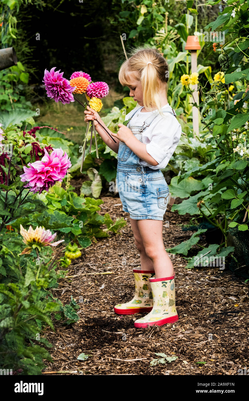Ragazza bionda in piedi in un giardino, picking rosa dalie. Foto Stock