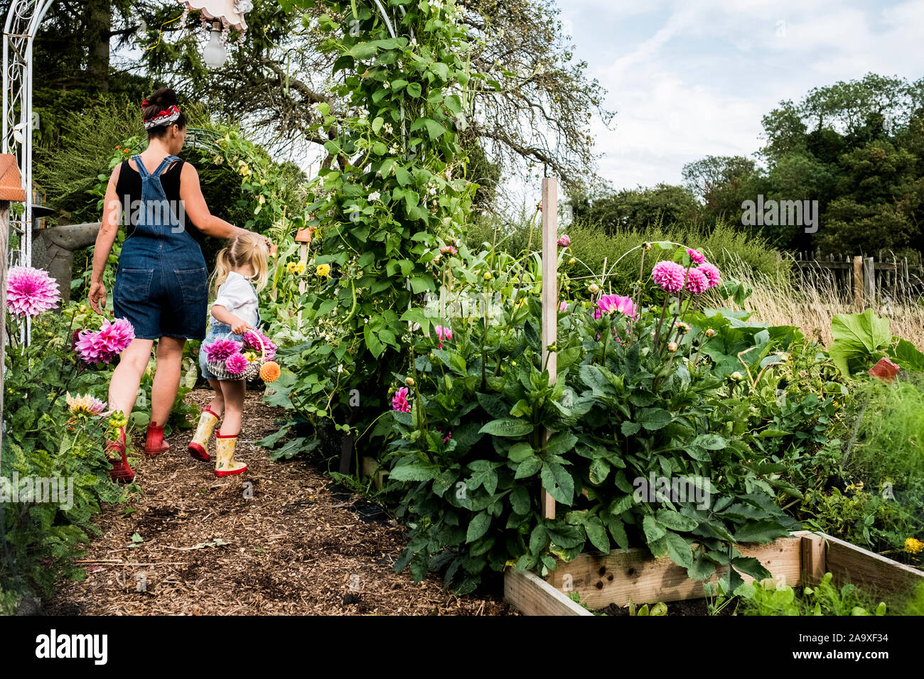Ragazza e la donna a piedi attraverso un giardino che trasportano cesti con rosa dalie. Foto Stock