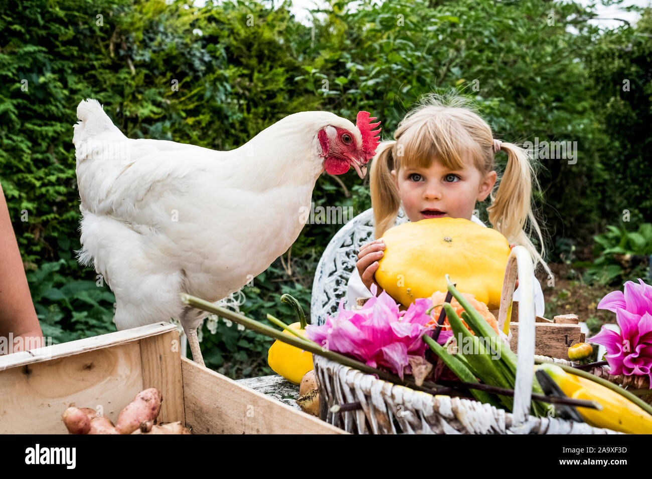Ragazza bionda azienda zucca gialla e pollo bianco in un giardino. Foto Stock