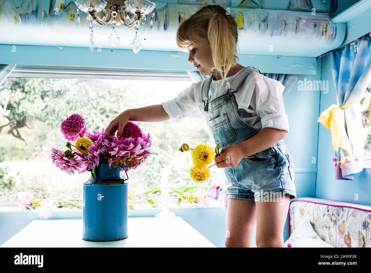 Ragazza bionda sta in piedi in una tabella all'interno di una roulotte blu, mettendo dalie rosa in un vaso blu. Foto Stock