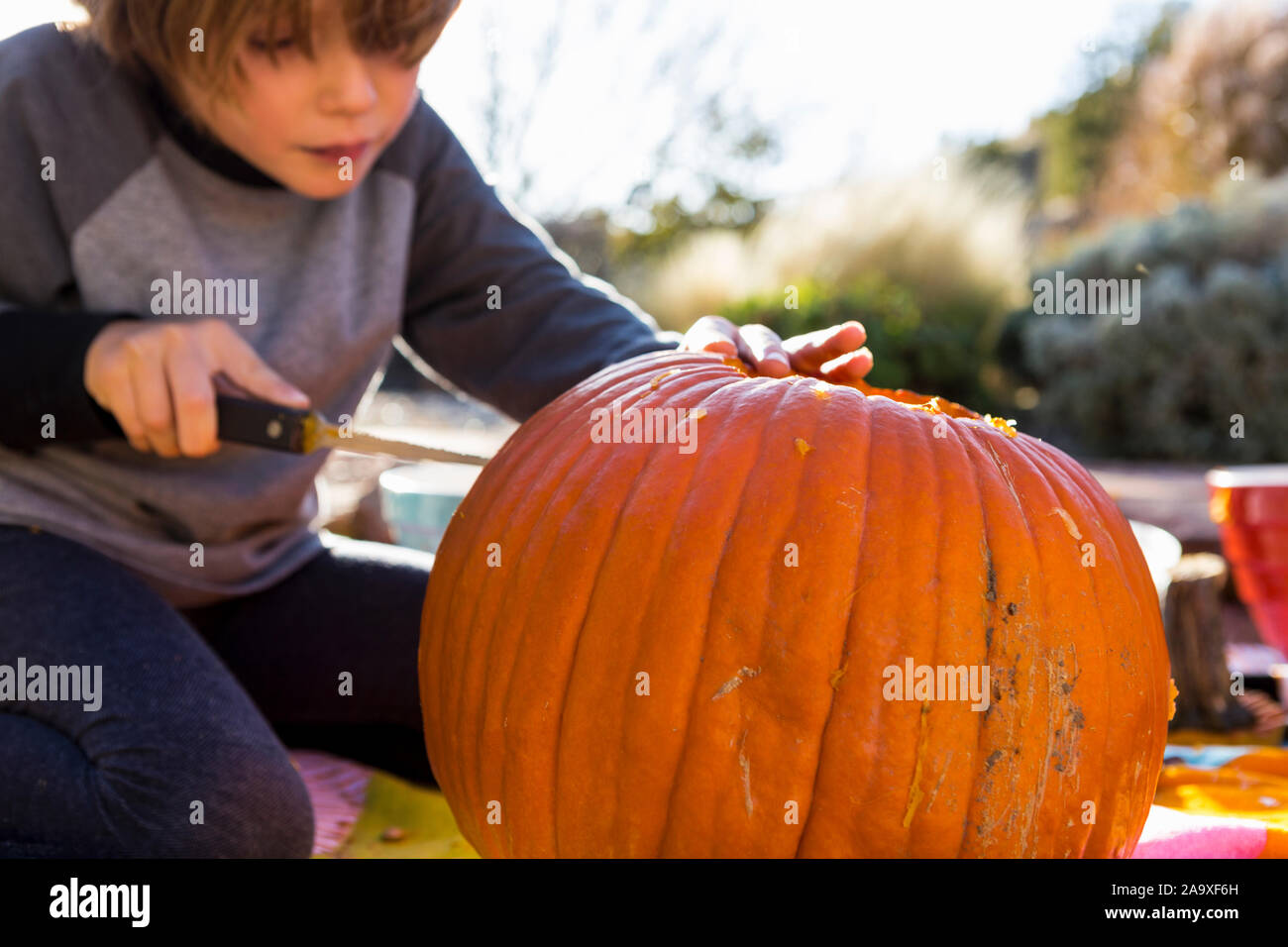 Un bambino di sei anni ragazzo intagliare una zucca di Halloween. Foto Stock