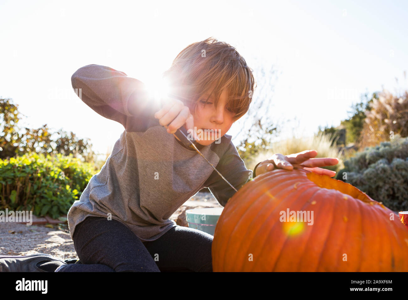 Un bambino di sei anni ragazzo intagliare una zucca di Halloween. Foto Stock
