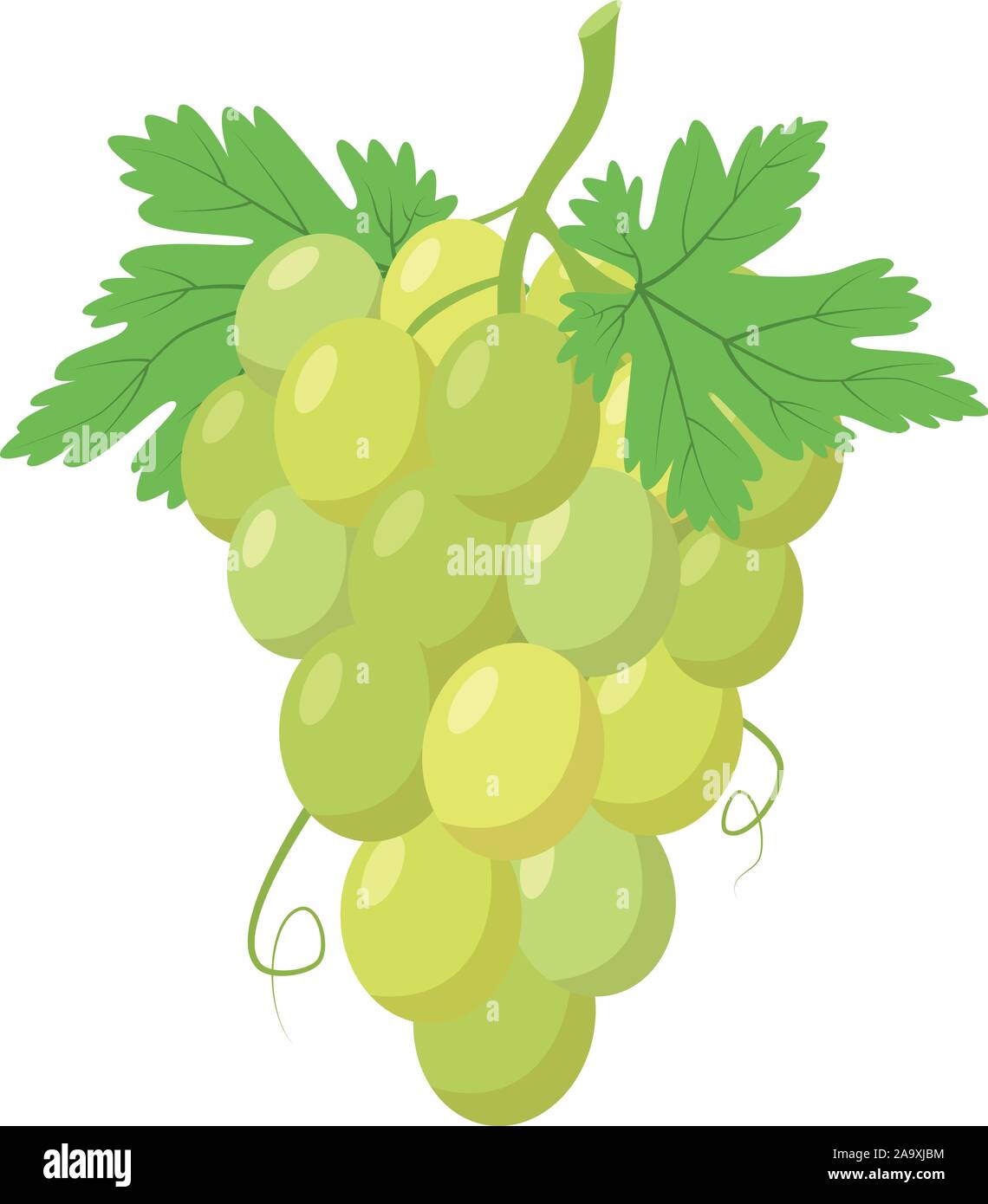 Illustrazione vettoriale di un divertente di grappolo di uva verde in stile cartoon. Illustrazione Vettoriale