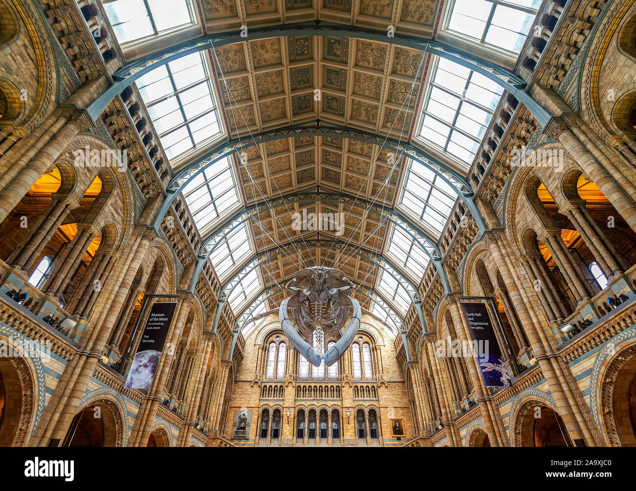Londra, Regno Unito. Hall di naturale museo storico. Foto Stock