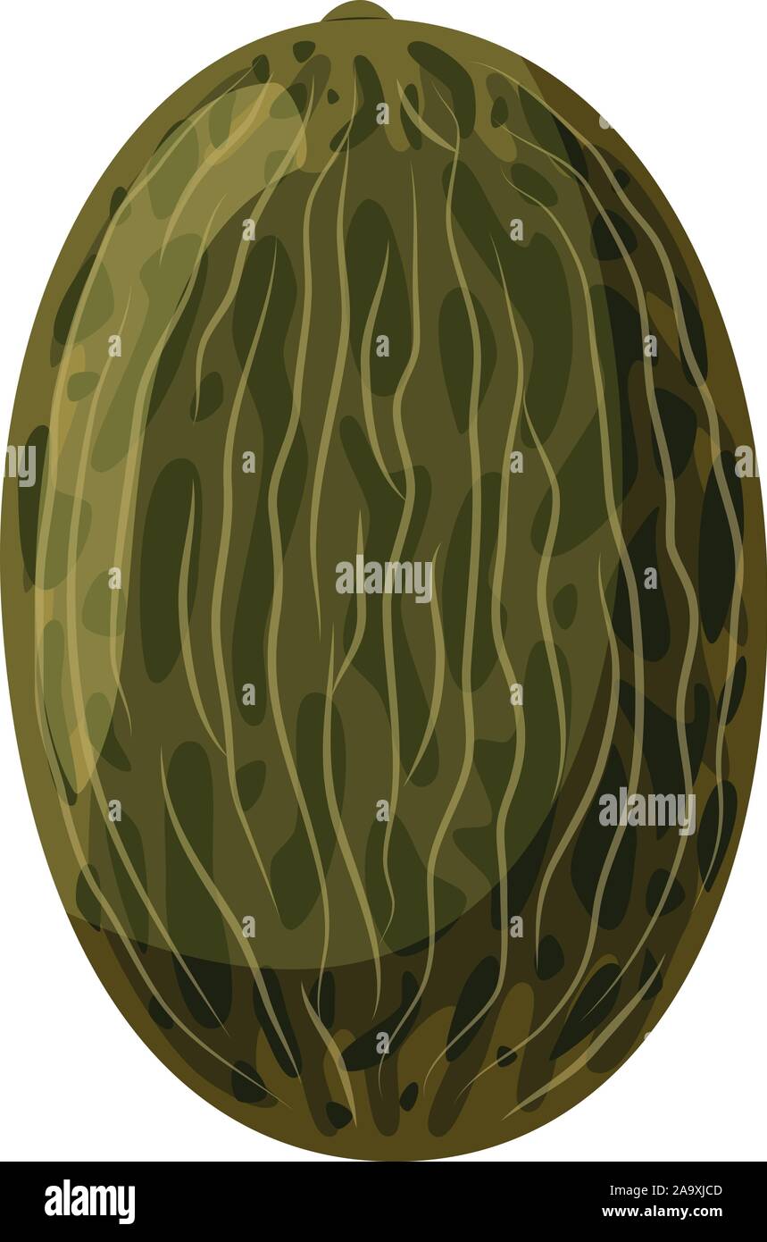 Illustrazione vettoriale di un melone divertenti in stile cartoon. Illustrazione Vettoriale