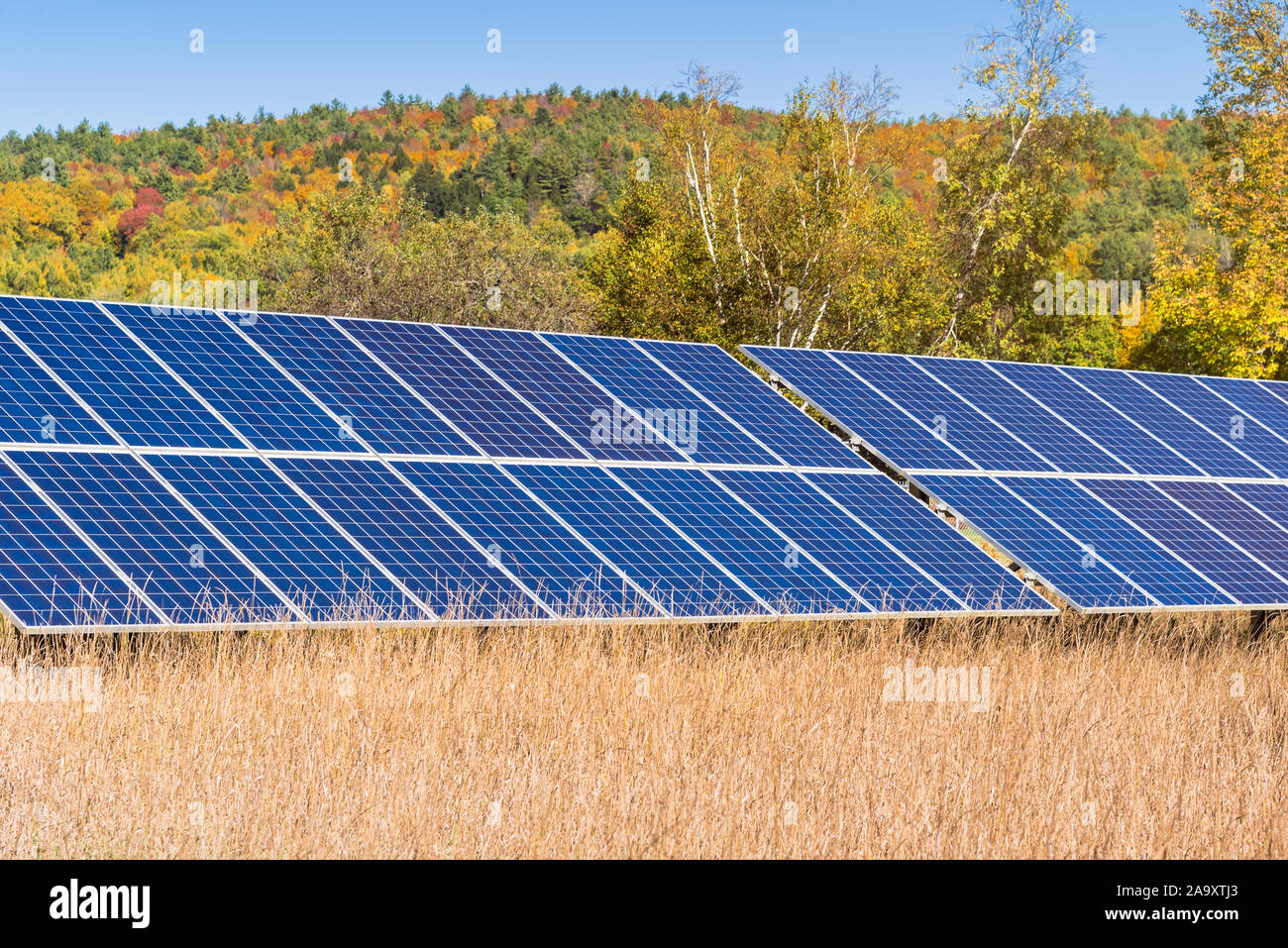 Pannelli solari in un campo con una collina ricoperta in colori d'autunno alberi in background e cielo chiaro Foto Stock