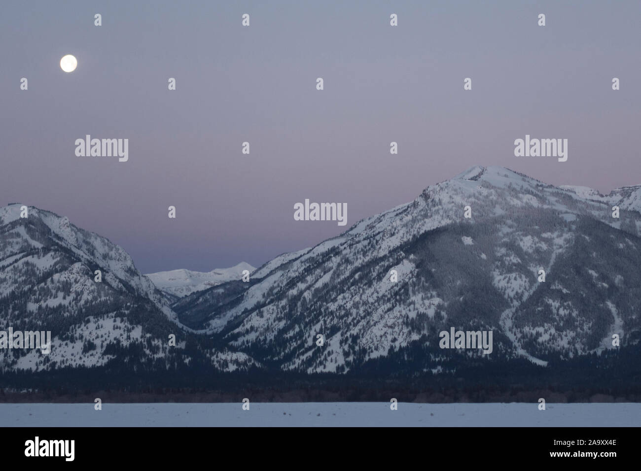 Lo spuntar del giorno con il calare della luna al di sopra della gamma Teton, viola cielo sopra montagne coperte di neve, colline vicino a Jackson Hole, Wyoming negli Stati Uniti. Foto Stock