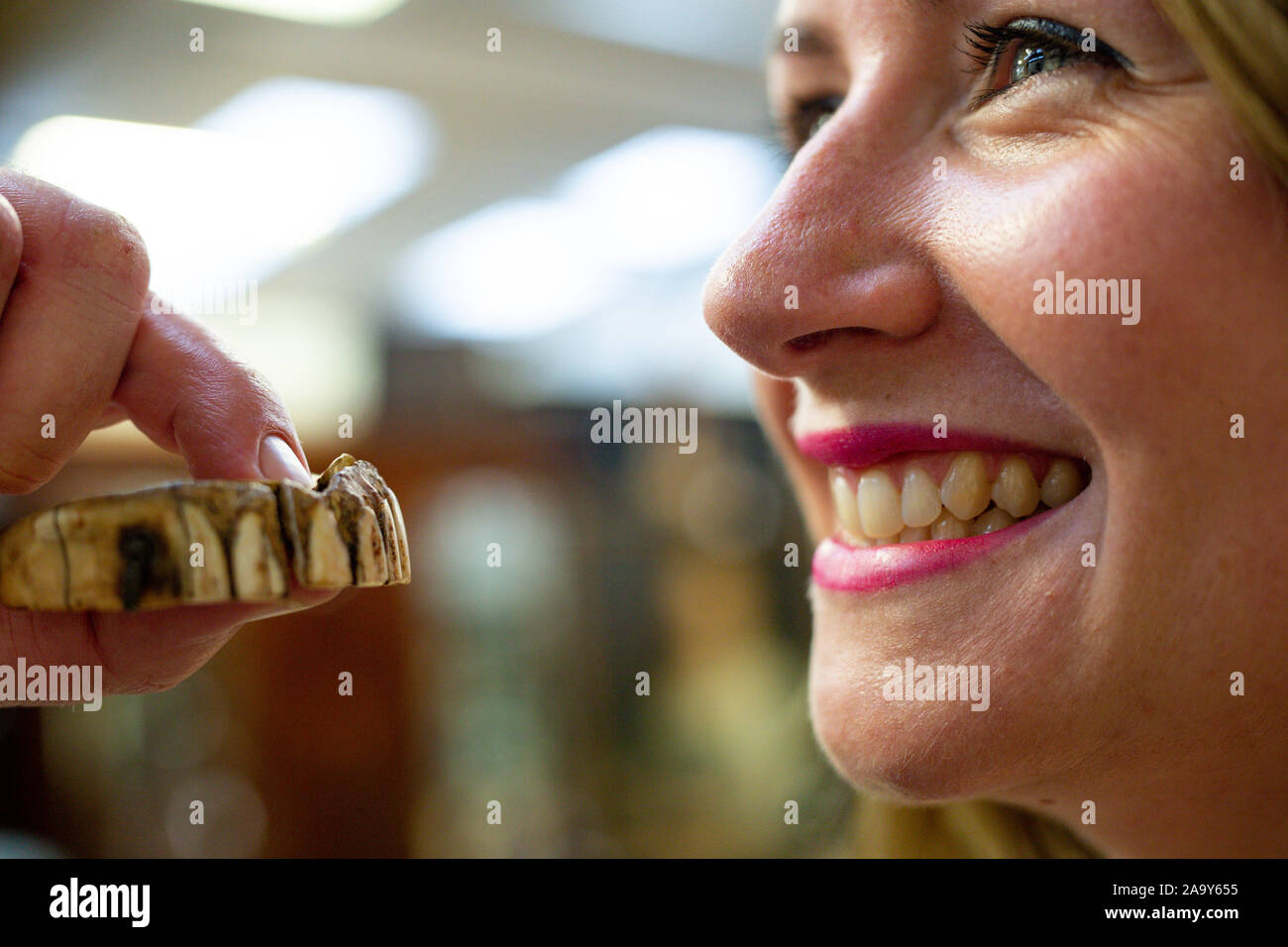 Isabel Murtough, un valutatore a Hansons banditori in Derbsyhire, con un 200-anno-vecchio set di denti finti che si prevede di vendere per fino a £ 7.000 all'asta il 25 novembre. Foto di PA. Picture Data: lunedì 18 novembre, 2019. I denti sono stati scoperti da un Buckinghamshire uomo mentre fuori di metallo e di rilevazione sono realizzati in oro e possibilmente ippona avorio. Foto di credito dovrebbe leggere: Giacobbe re/PA FILO Foto Stock