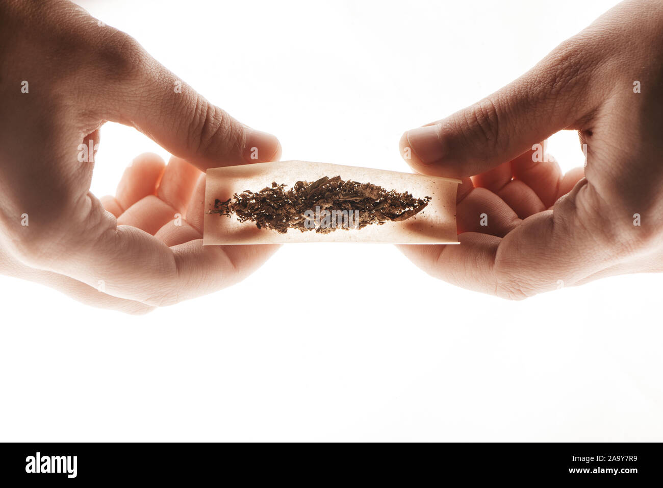 Man mano la preparazione di marijuana cannabis giunto. La cannabis medica concetto. Foto Stock