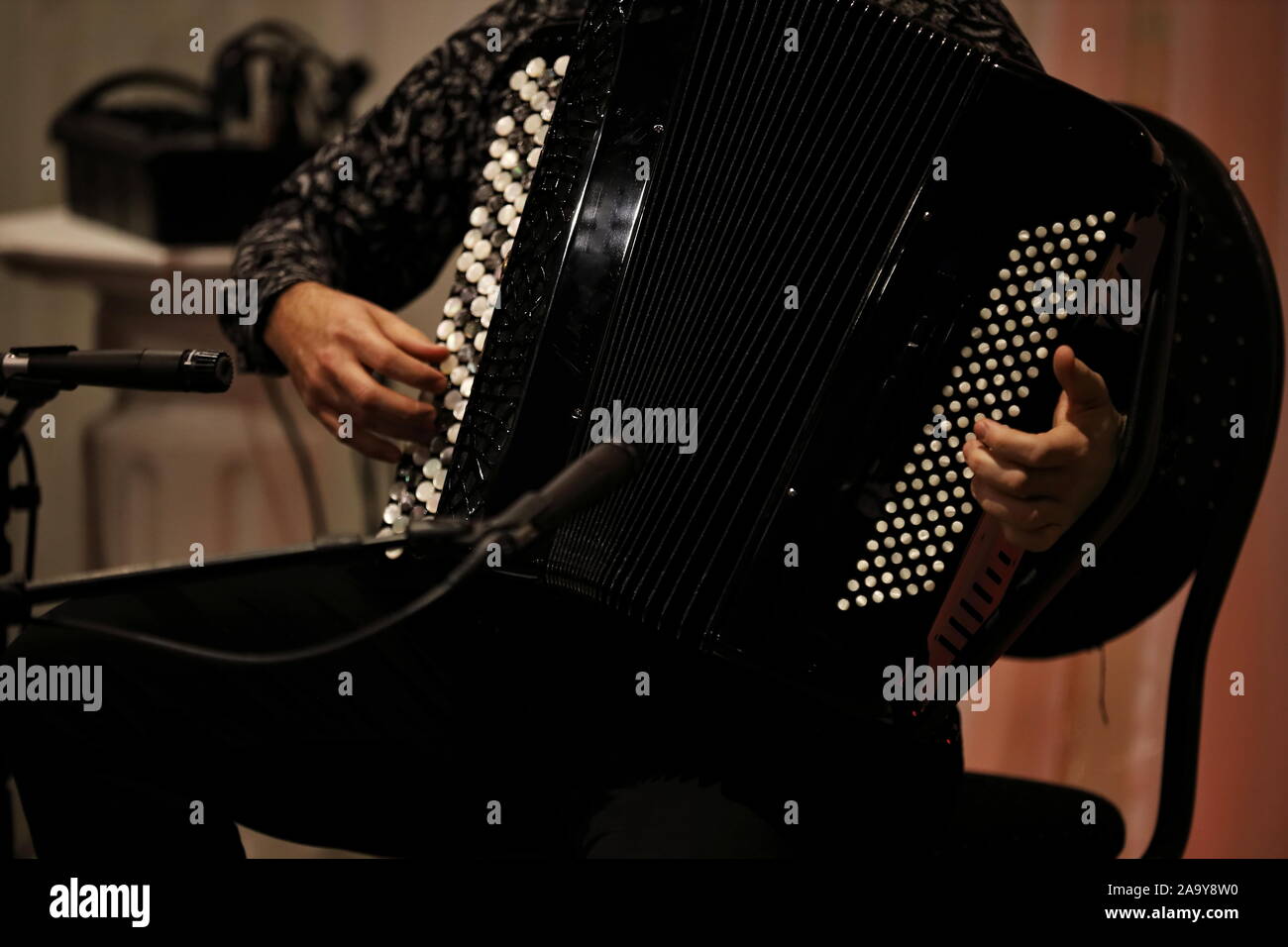 Musicista che suona la fisarmonica immagini e fotografie stock ad alta