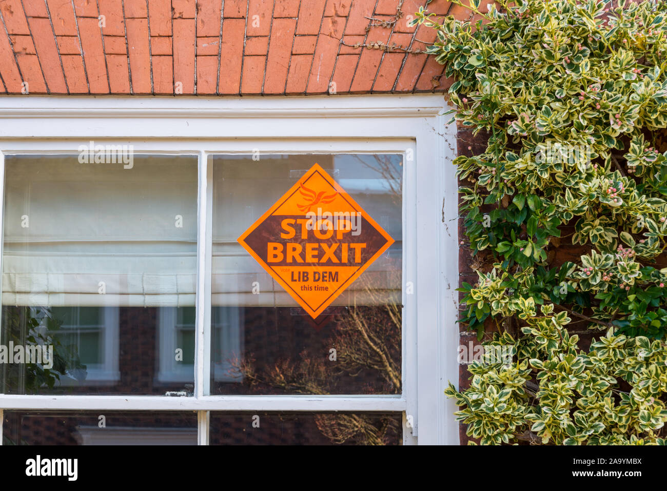 Poster nella finestra di una casa di Bridgnorth, Shropshire dicendo 'stop brexit' rilasciato dall'Lib partito Dem Foto Stock