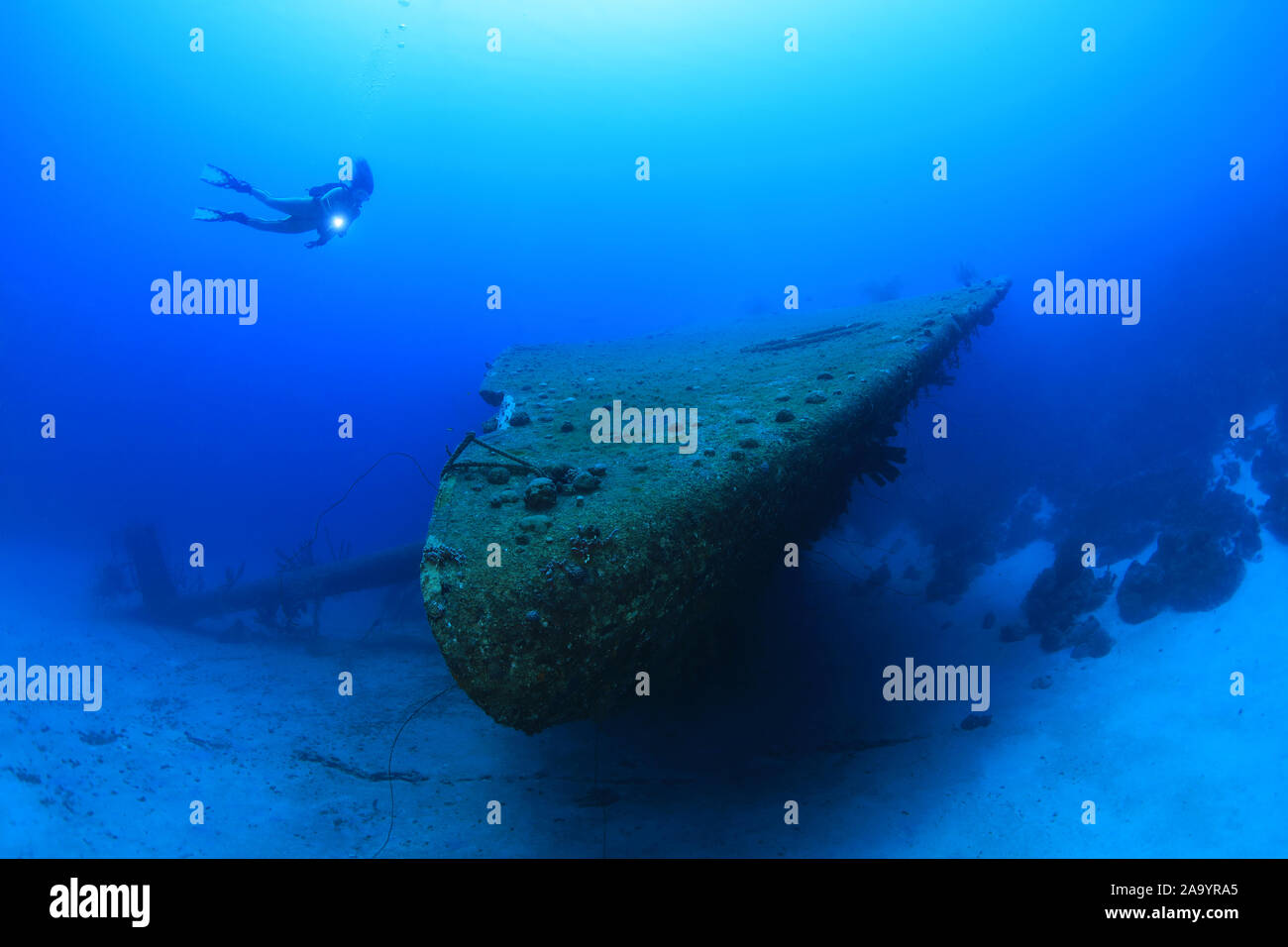 Naufragio della Hilma Hooker e subacqueo in immersione subacquea in Mar dei Caraibi di Bonaire Foto Stock