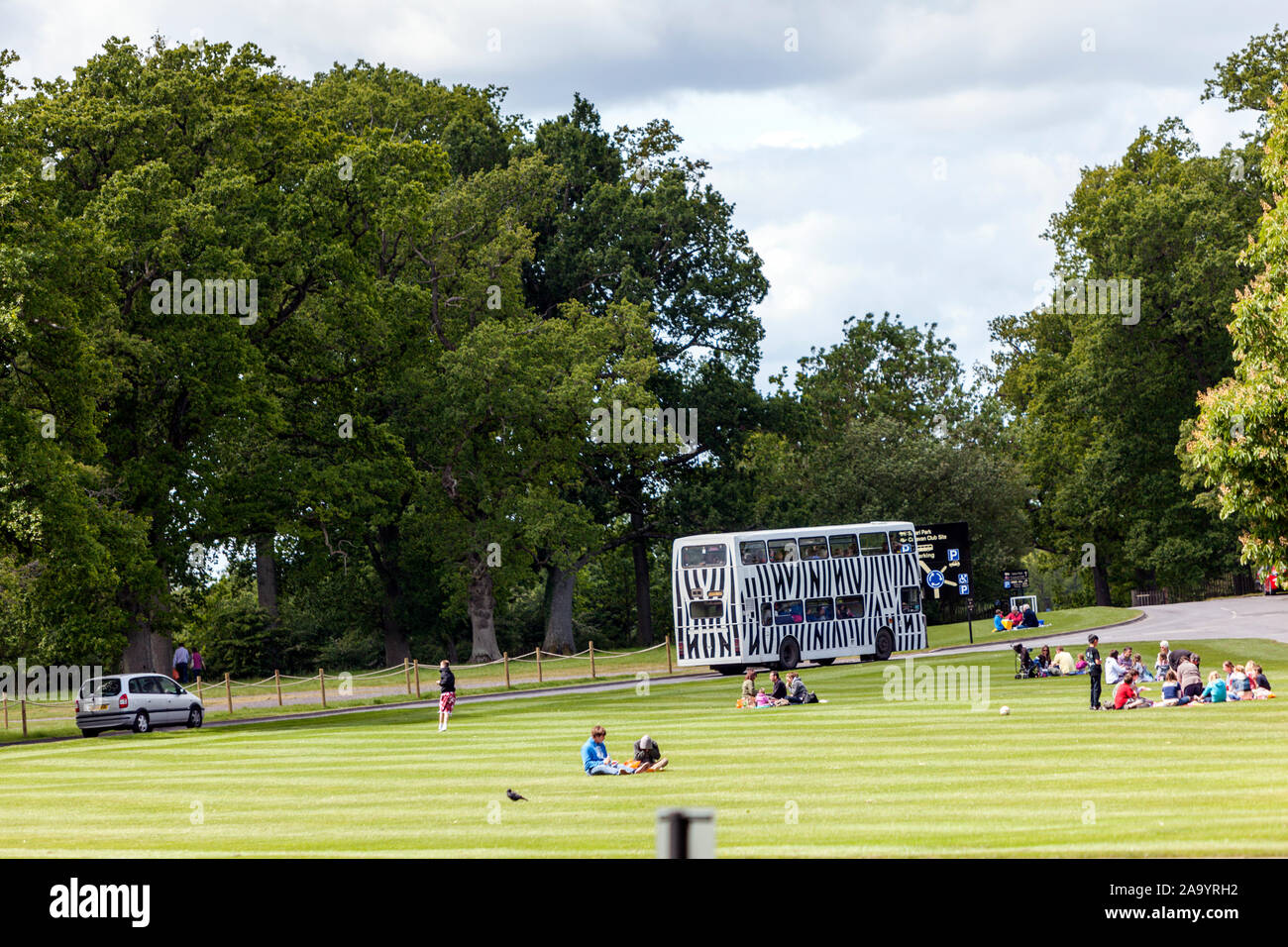 Double Deck bus zebra di Longleat Safari Park, Longleat House, Wiltshire, Inghilterra, Regno Unito Foto Stock