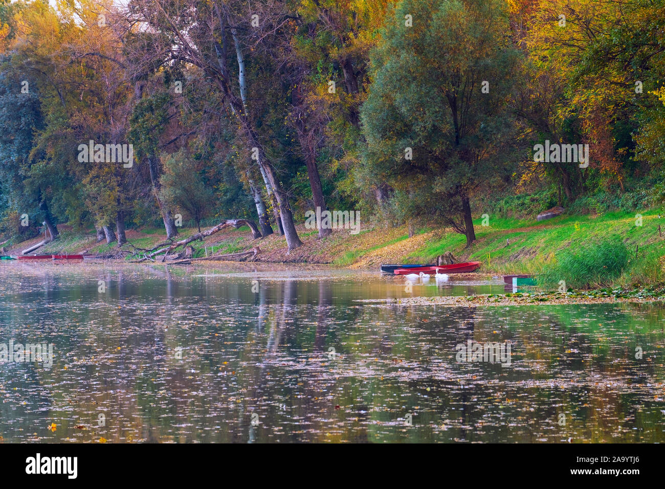 Autunno del tranquillo Lago Tisza paesaggio in Ungheria Foto Stock