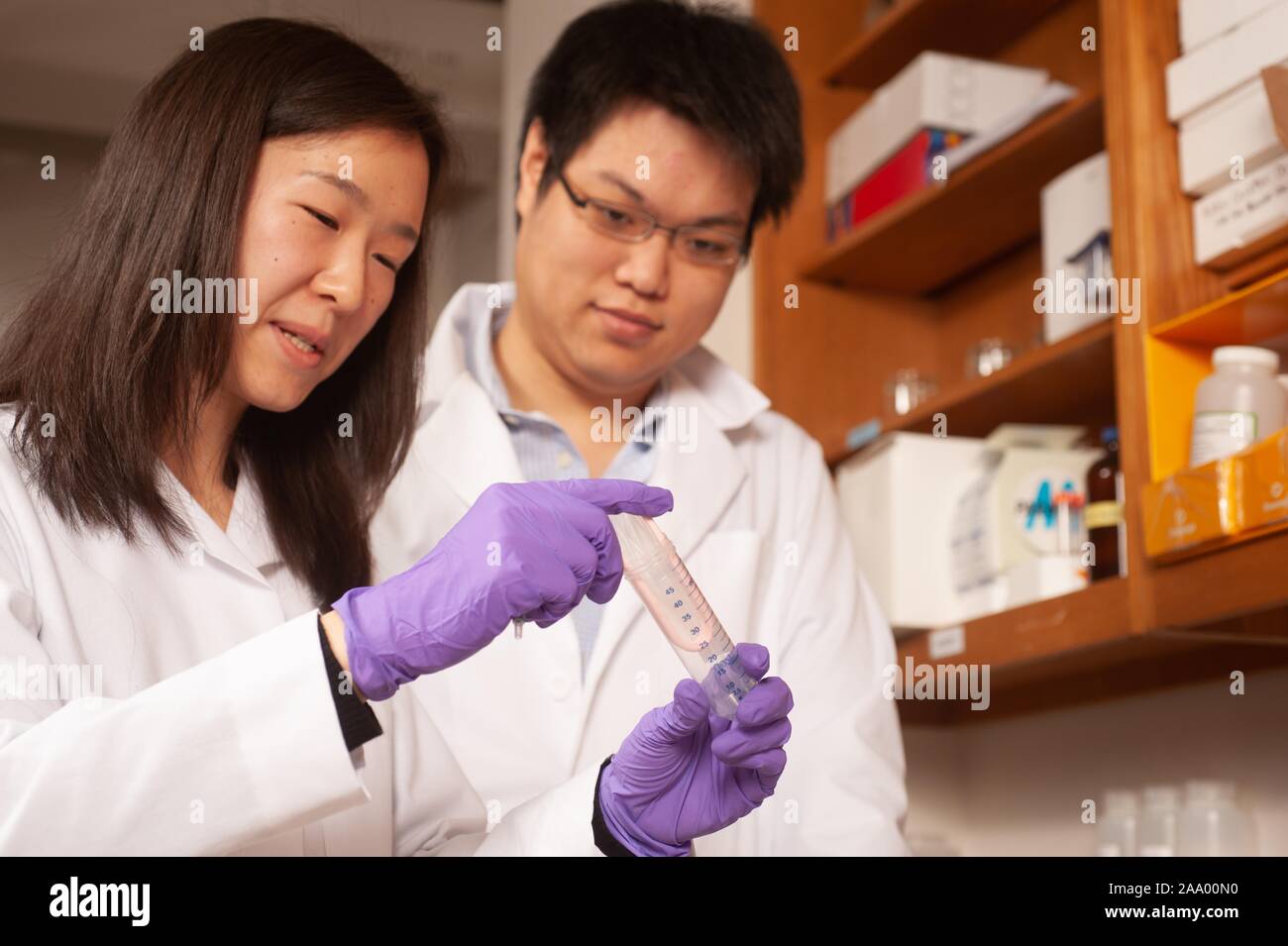 Due ricercatori indossando camici e guanti manipolare una provetta in un laboratorio presso la Johns Hopkins University di Baltimore, Maryland, 30 gennaio 2009. Dall'Homewood raccolta di fotografie. () Foto Stock