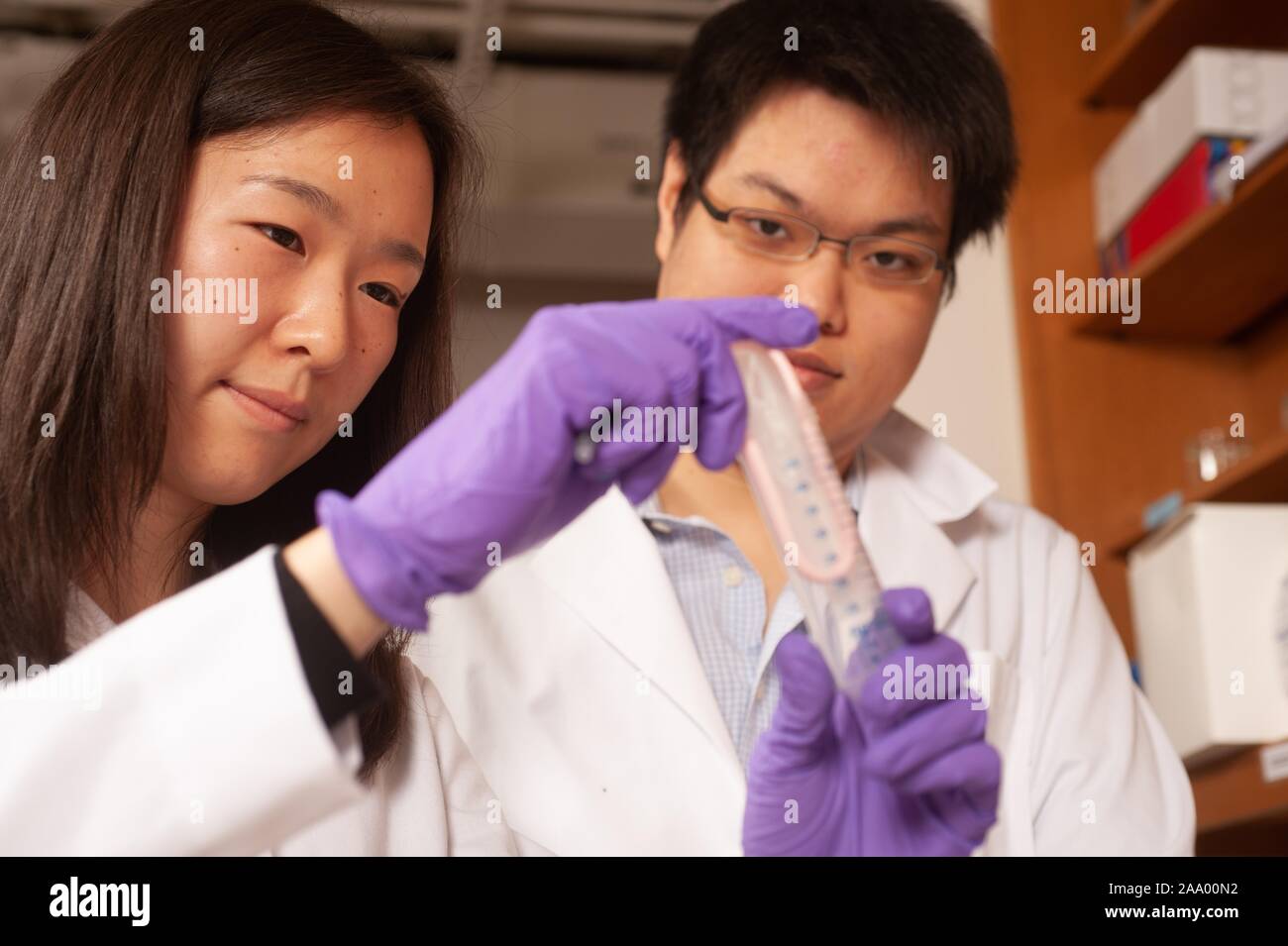 Due ricercatori indossando camici e guanti manipolare una provetta in un laboratorio presso la Johns Hopkins University di Baltimore, Maryland, 30 gennaio 2009. Dall'Homewood raccolta di fotografie. () Foto Stock