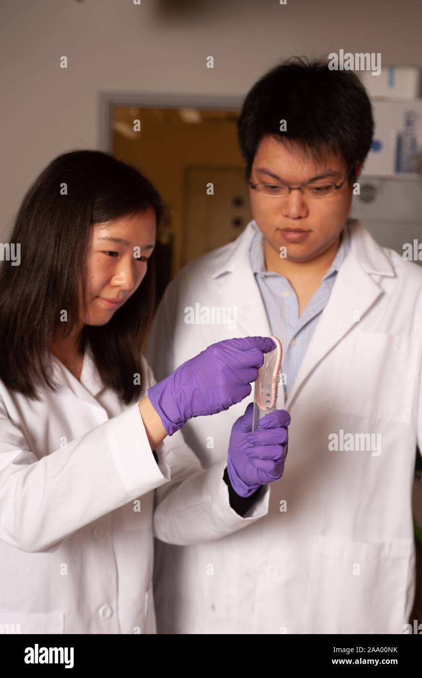 Due ricercatori indossando camici e guanti manipolare una provetta in un laboratorio presso la Johns Hopkins University di Baltimore, Maryland, 30 gennaio 2009. Dall'Homewood raccolta di fotografie. () Foto Stock