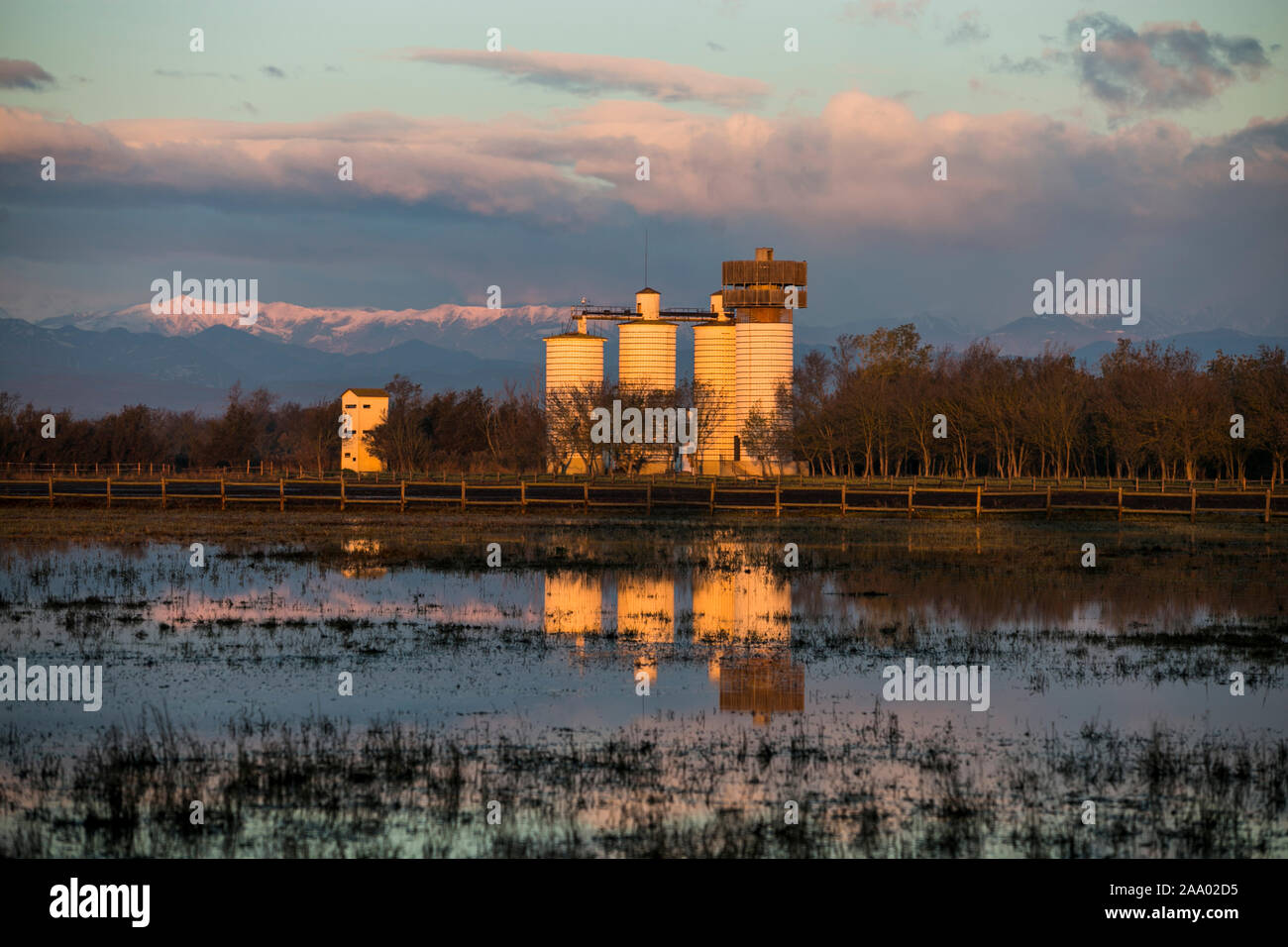 Il Parc Natural dels Aiguamolls de l'Empordà è un parco naturale situato nel nord-est della Catalogna, Spagna. Esso fa parte della baia di Roses e Foto Stock