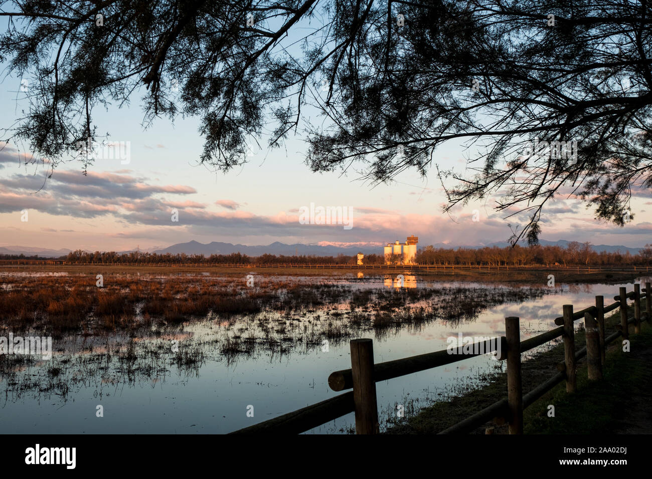 Il Parc Natural dels Aiguamolls de l'Empordà è un parco naturale situato nel nord-est della Catalogna, Spagna. Esso fa parte della baia di Roses e Foto Stock