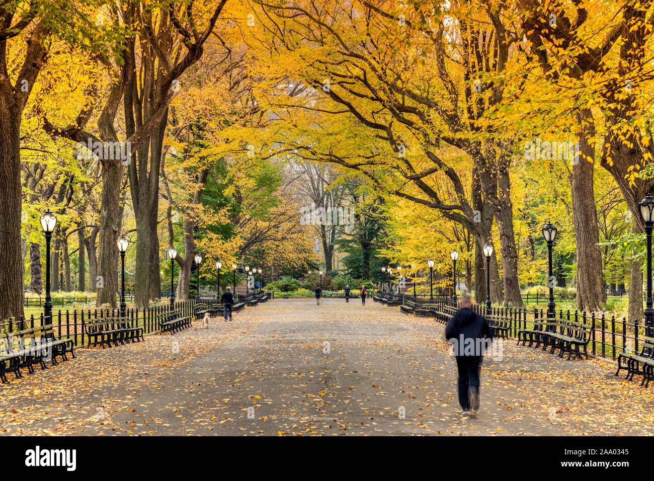 Vista autunnale del Mall e passeggiata letteraria, Central Park, Manhattan, New York, Stati Uniti d'America Foto Stock