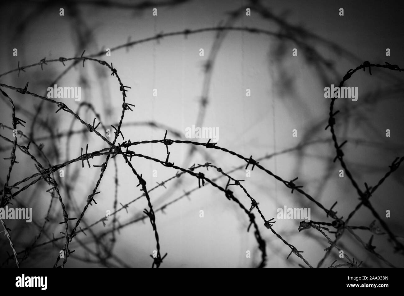 Filo di concertina nel Memoriale del Muro di Berlino, foto di persone uccise da guardie di confine fuoriuscite di est di Berlino Prenzlauer Berg Berlin Germania Foto Stock